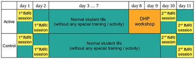 Changes in Brain Responses to Music and Non-music Sounds Following Creativity Training Within the “Different Hearing” Program